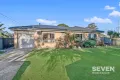 Property photo of 2 Sedgman Crescent Shalvey NSW 2770