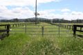 Property photo of 91 River Road Beaudesert QLD 4285