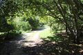 Property photo of 585 Ellsmore Road Exeter NSW 2579