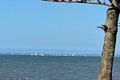 Property photo of 187 Wynnum Esplanade Wynnum QLD 4178
