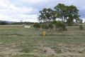 Property photo of 117 Pine Grove Road Ballandean QLD 4382