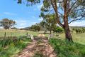 Property photo of 95 Hugs Lane The Angle NSW 2620
