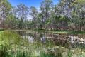 Property photo of 20 Condor Drive Sunshine Acres QLD 4655