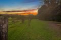 Property photo of 7-13 Jacksons Road West Woombye QLD 4559