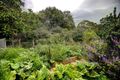 Property photo of 68 Basket Range Road Uraidla SA 5142