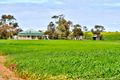 Property photo of 991 Old Dublin Road Dublin SA 5501