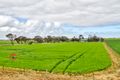 Property photo of 991 Old Dublin Road Dublin SA 5501