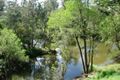 Property photo of 72 Rivergum Drive Nerang QLD 4211