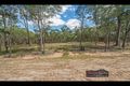 Property photo of 49 Halo Place Tamborine QLD 4270