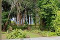 Property photo of 44 Evans Road Bramston Beach QLD 4871