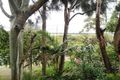 Property photo of 60 The Anchorage Hawks Nest NSW 2324