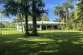 Property photo of 761 Ellerbeck Road Carruchan QLD 4816