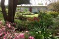Property photo of 749 Coradjil Road Simpson VIC 3266