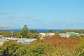 Property photo of 31 Cheshunt Street Point Lonsdale VIC 3225