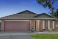 Property photo of 19 Black Range Avenue Craigieburn VIC 3064