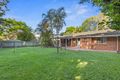 Property photo of 6 Jacaranda Place Tewantin QLD 4565