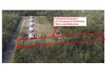 Property photo of 1 The Yachtsmans Drive Burrum River QLD 4659