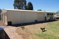Property photo of 18 Beechworth Street Whitton NSW 2705