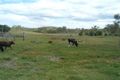Property photo of 9 Sheppard Road Ambrose QLD 4695