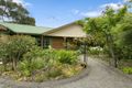 Property photo of 19 Elizabeth Street Anglesea VIC 3230