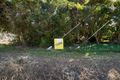 Property photo of 2571 Shute Harbour Road Jubilee Pocket QLD 4802