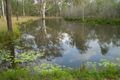 Property photo of 1104 Tableland Road Horse Camp QLD 4671
