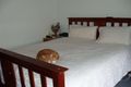 Property photo of 11 Eton Street Wendouree VIC 3355
