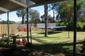 Property photo of 17 Morris Street Loveday SA 5345