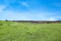 Property photo of 3108 Middle Arm Road Roslyn NSW 2580