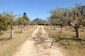 Property photo of 56 Greens Road Alton Downs QLD 4702