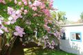 Property photo of 6 Panonia Road Wyong NSW 2259