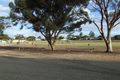Property photo of 8 Paddick Street Berri SA 5343
