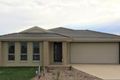 Property photo of 20 Harper Crescent Cranbourne West VIC 3977