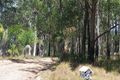 Property photo of 56 Palmer Road Woolgoolga NSW 2456