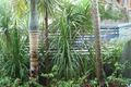 Property photo of 1/62-64A Park Street Narrabeen NSW 2101