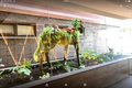 Property photo of 201/316 Neerim Road Carnegie VIC 3163