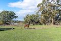 Property photo of 190 Hawthorn Road Mount Barker SA 5251