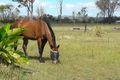 Property photo of 206 Thallon Road Brightview QLD 4311