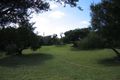 Property photo of 10 Birdswood Court Cape Schanck VIC 3939