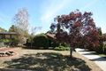 Property photo of 10 Wild Avenue Reynella East SA 5161
