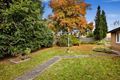 Property photo of 46 Filbert Street Caulfield South VIC 3162