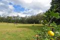 Property photo of 33 Bald Knob Road Peachester QLD 4519