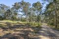 Property photo of 3 Lorikeet Place Glenreagh NSW 2450