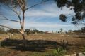 Property photo of 52 Anzac Road Port Pirie West SA 5540