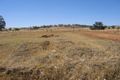 Property photo of 124 Throssell Street Northam WA 6401