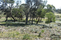 Property photo of 25 Holmes Road Paradise Beach VIC 3851