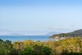 Property photo of 15 Seaview Drive Airlie Beach QLD 4802