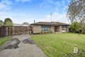 Property photo of 3 Kara Court Sebastopol VIC 3356