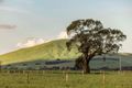 Property photo of 32 Frederick Street Smeaton VIC 3364