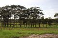Property photo of 15 Bada Crescent Burrill Lake NSW 2539